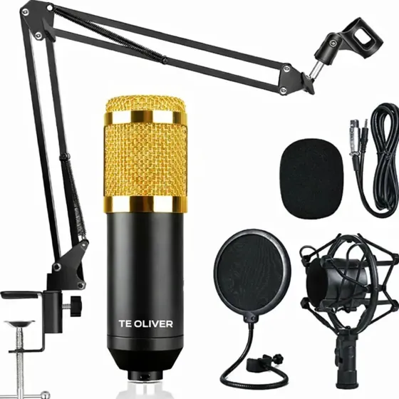 Kit Premium Te Oliver Microfone Condensador Bm800 Profissional Padrão Polar Unidirecional Podcast
