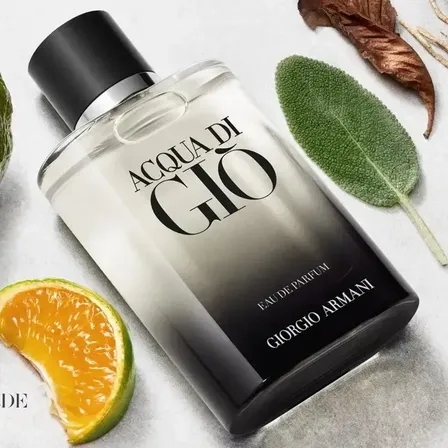 Perfume Masculino Giorgio Armani Acqua di Giò Eau de Parfum Refilável 100ml