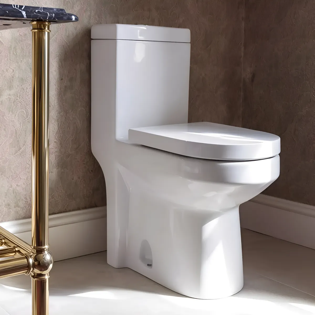 Vaso Sanitário Monobloco Moderno Caixa Acoplada Privada Branco
