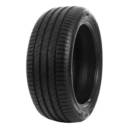 Pneu Delinte Aro 20 245/45 Zr20 103w Ds2