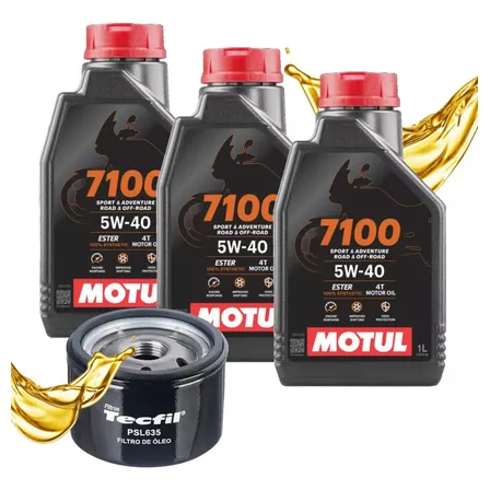Troca De Óleo P/ Bmw F750 F850 Gs Motul 7100 5w40 + Filtro