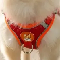 Coleira Peitoral Para Cachorros Gatos Reflexiva Com Guia Vermelho Pet P