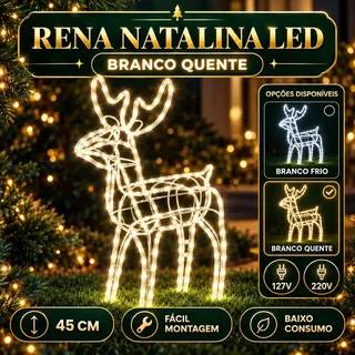 Rena de Natal 220v Papai Noel Pisca Enfeite Decoração Natalina Luxo Luzes Branco Quente Para Jardim Quintal Telhado LuvinCo