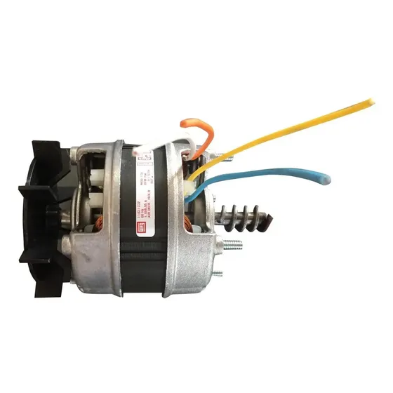 Motor Weg 1/30cv Bivolt Para Churrasqueira Giratória