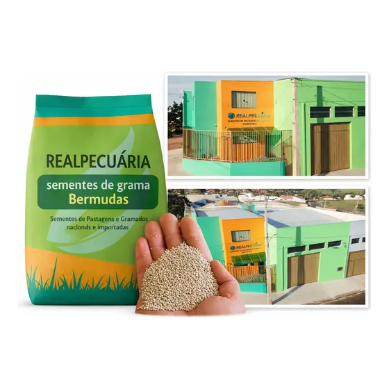 1 Kg De Sementes De Grama Bermudas Para 150 A 200 M²