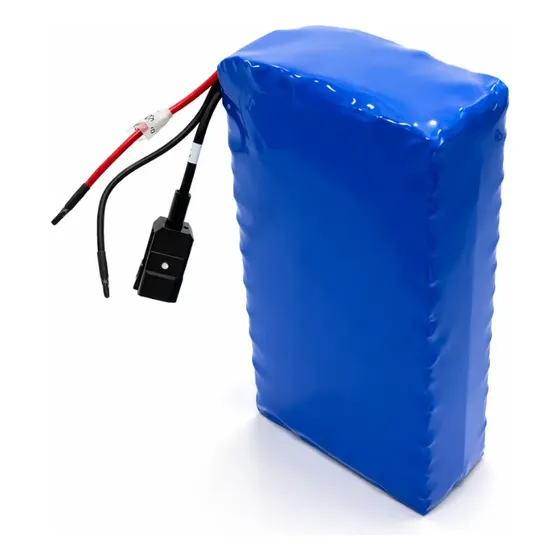 Bateria 48v 20a Litio Com Proteção Bms