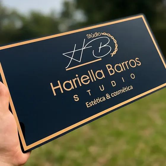 Placa Logotipo Identificação Acrílico 40x20 Espelhado Brilho