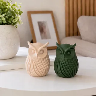 Par De Corujas Decorativas Moderna Enfeite Para Sala Bege E Verde