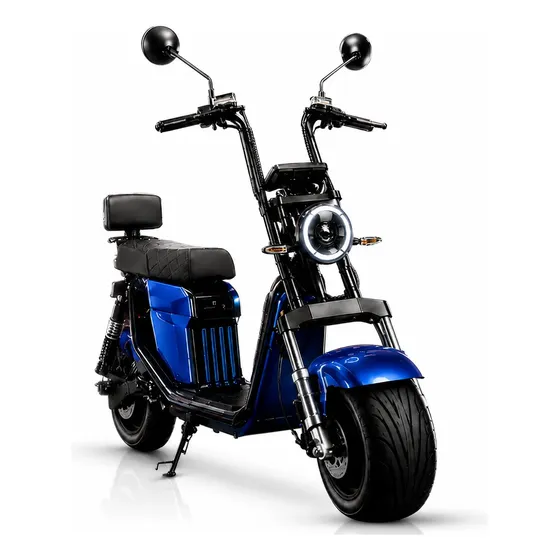 Scooter Elétrica X13 1000w 60v 20ah Sem Cnh Azul 10