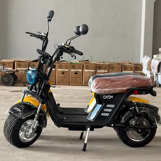 Scooter Elétrica X13 1000w 60v 20ah Sem Cnh Preto 10 Preto 10